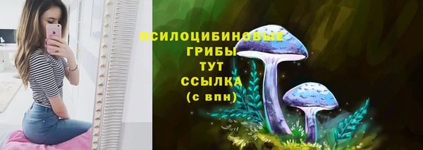 ALPHA PVP Зеленодольск