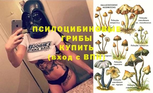 трава Инта
